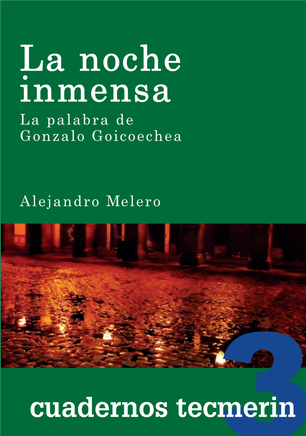 La Noche Inmensa. La Palabra De Gonzalo Goicoechea