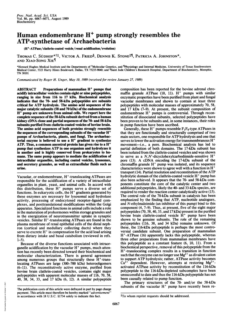 Human Endomembrane H+ Pump Strongly Resembles the ATP-Synthetase of Archaebacteria (H+-Atpase/Clathrin-Coated Vesicle/Renal Acidification/Evolution) THOMAS C