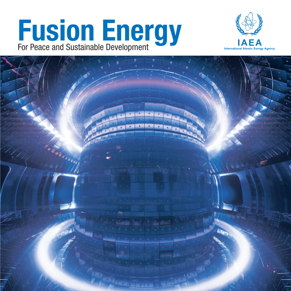 Fusion Energy for Peace and Sustainable Development