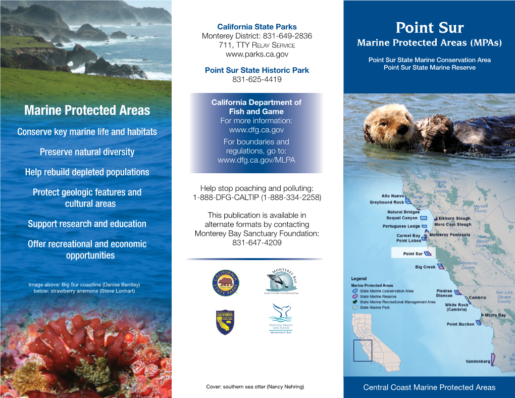 Point Sur Brochure