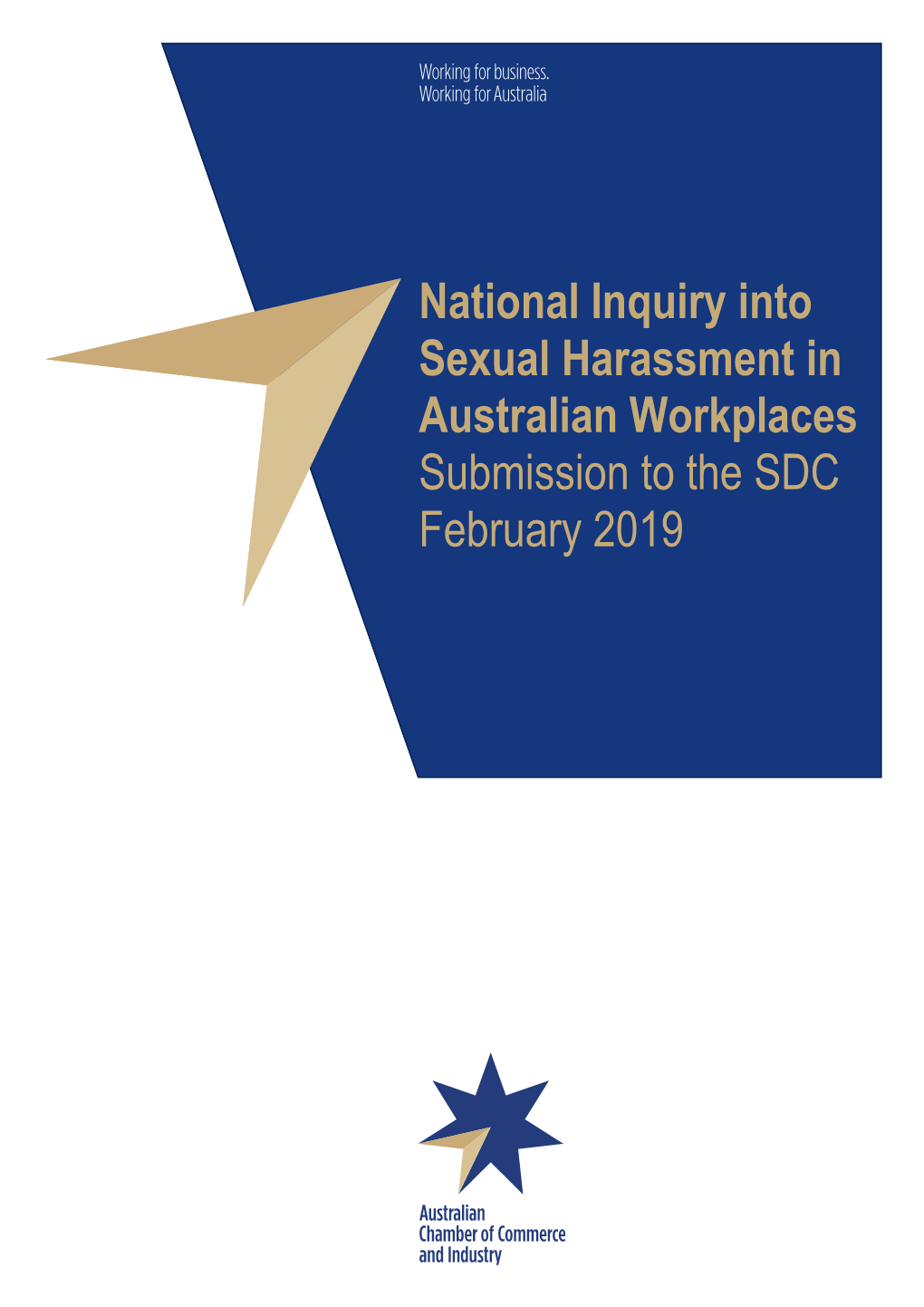 National Inquiry Into Sexual Harassment in Australian Workplaces Submission to the SDC February 2019