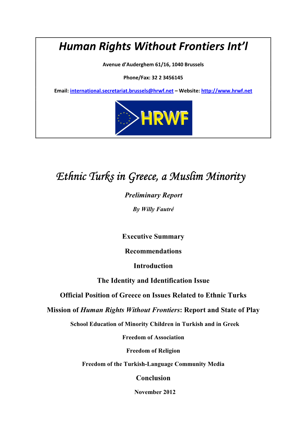 2012 1128 Report Ethnic Turks