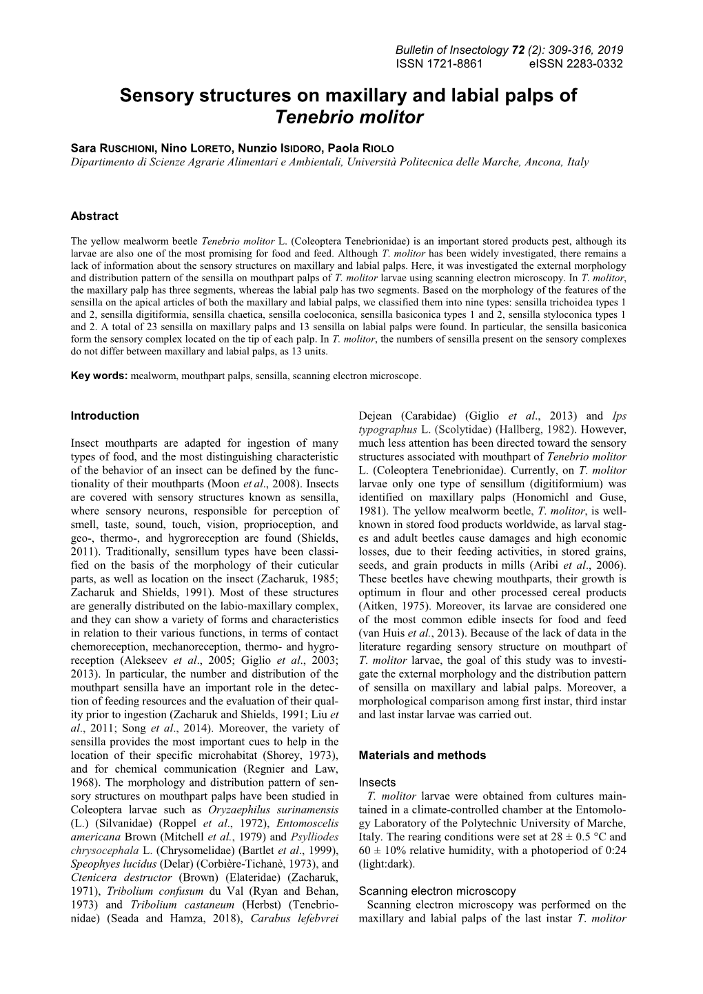 Sensory Structures on Maxillary and Labial Palps of Tenebrio Molitor