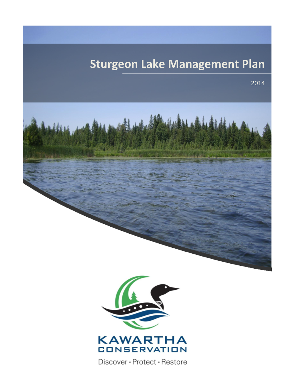 Sturgeon Lake Management Plan