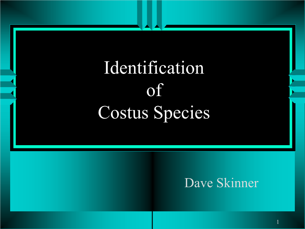 Identification of Costus Species