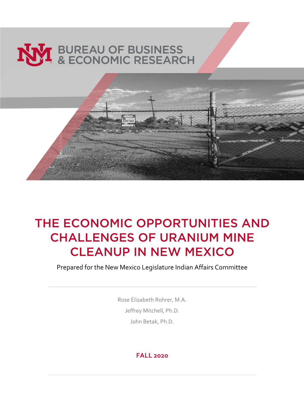 THE ECONOMIC OPPORTUNITIES and CHALLENGES of URANIUM MINE CLEANUP in NEW MEXICO Prepared for the New Mexico Legislature Indian Affairs Committee