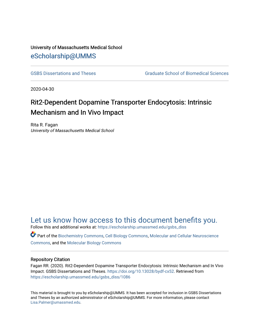 Rit2-Dependent Dopamine Transporter Endocytosis: Intrinsic Mechanism and in Vivo Impact