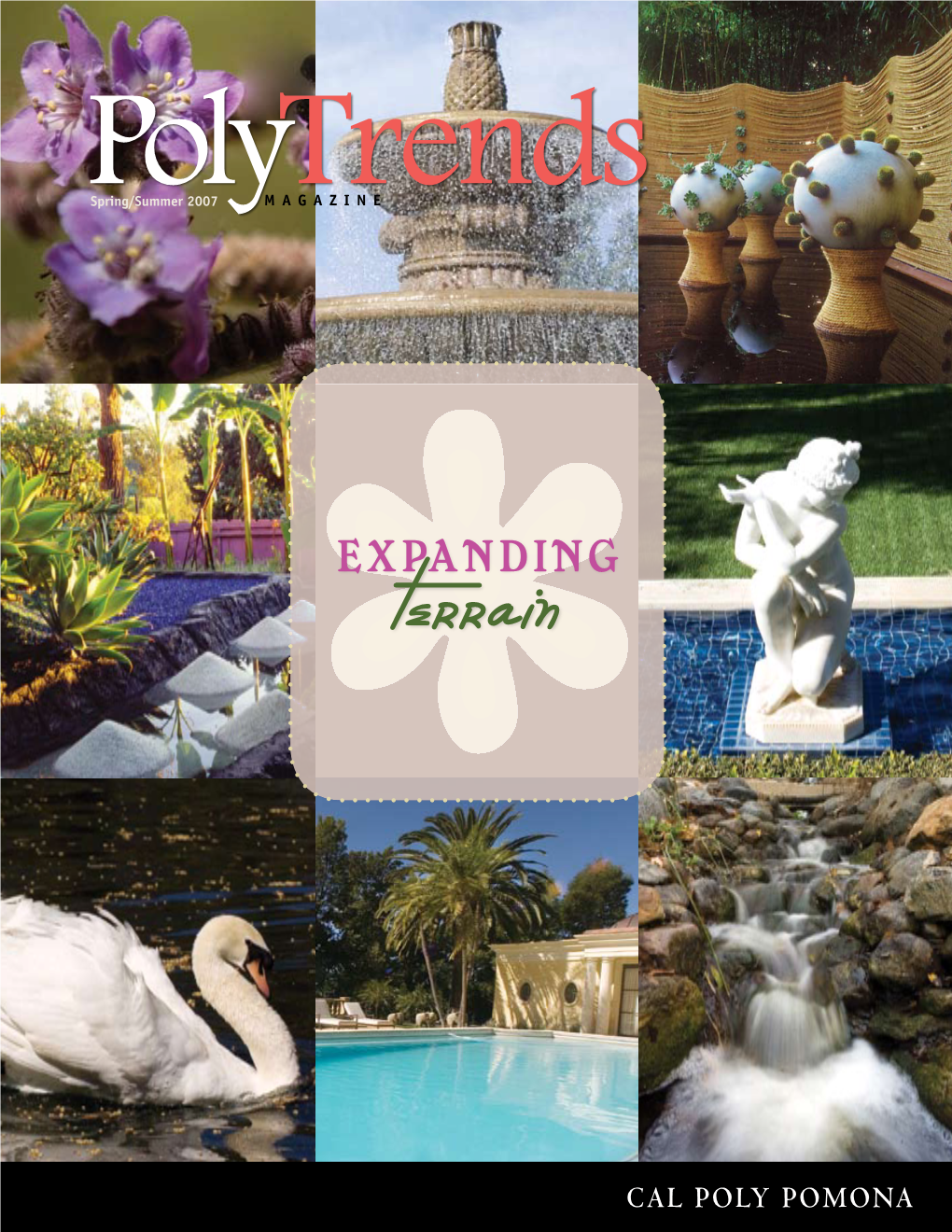 Terrain Polytrends MAGAZINE