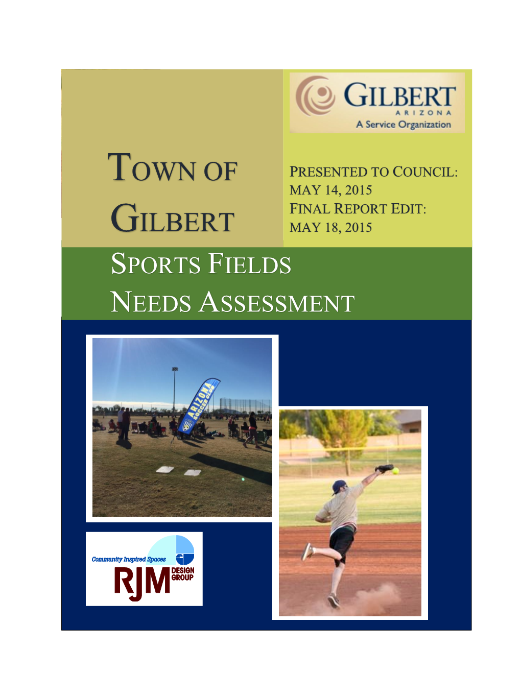 Sports Field Needs Assessment