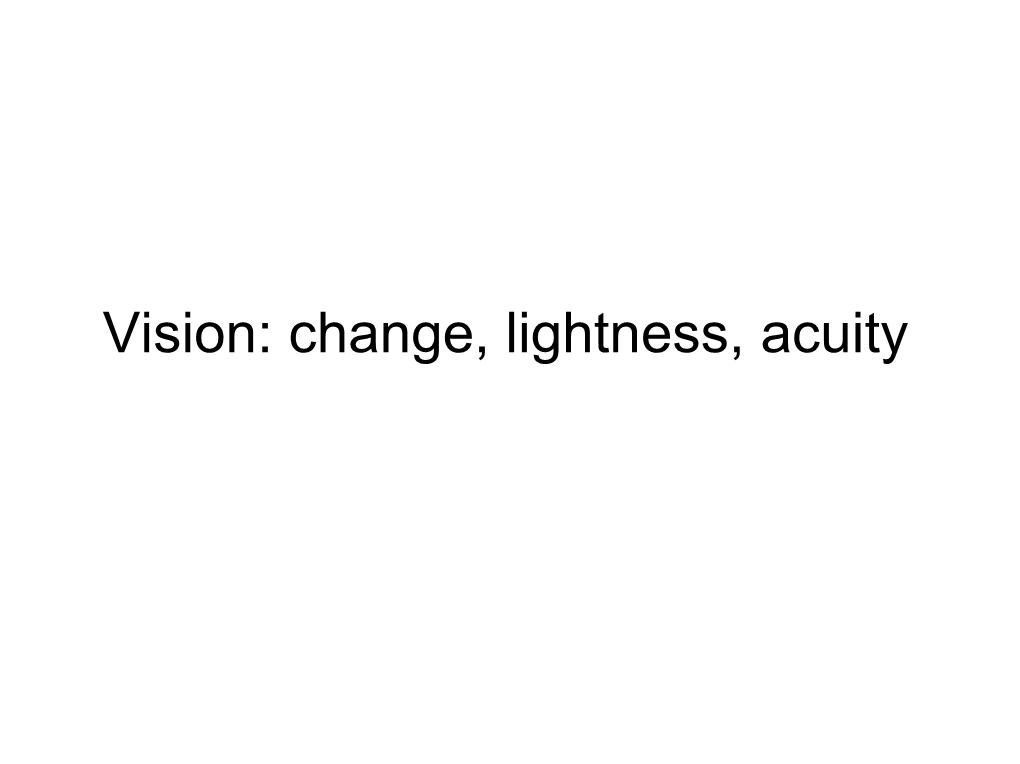 Vision: Change, Lightness, Acuity