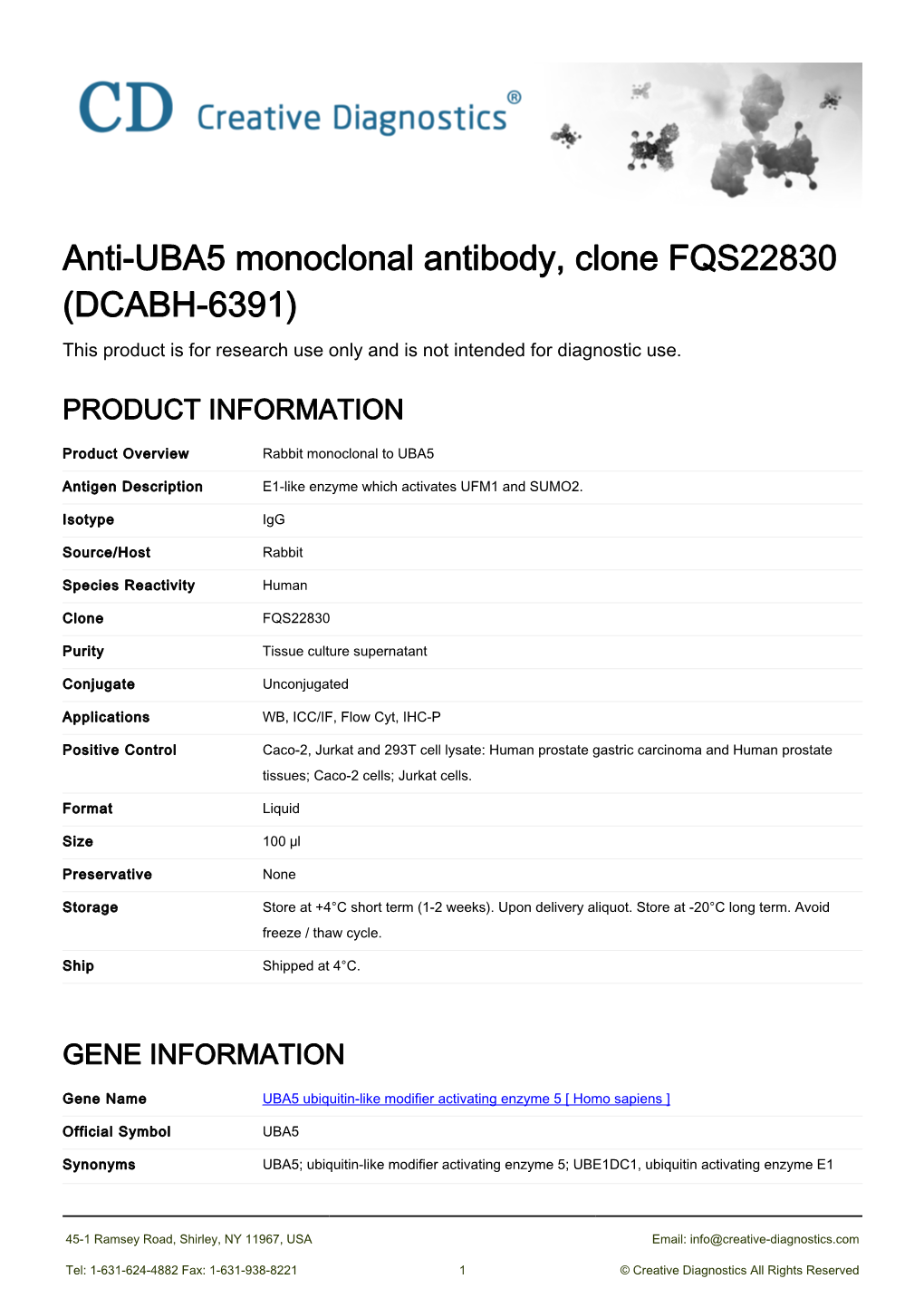 Anti-UBA5 Monoclonal Antibody, Clone FQS22830 (DCABH-6391) This Product Is for Research Use Only and Is Not Intended for Diagnostic Use