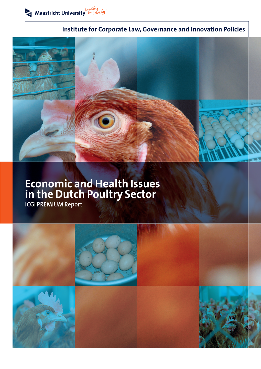 Economic and Health Issues in the Dutch Poultry Sector