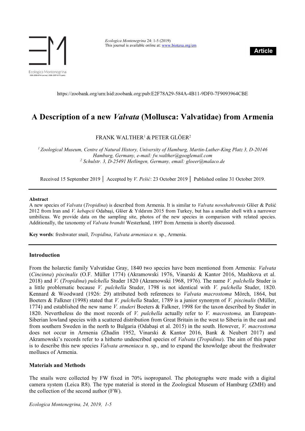 A Description of a New Valvata (Mollusca: Valvatidae) from Armenia