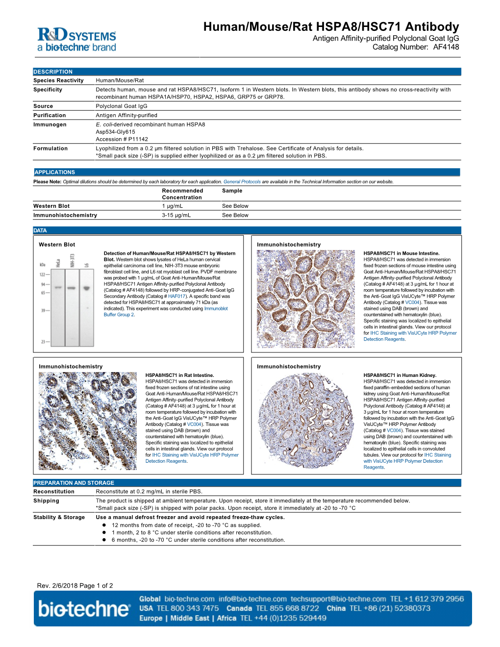 Human/Mouse/Rat HSPA8/HSC71 Antibody Antigen Affinity-Purified Polyclonal Goat Igg Catalog Number: AF4148