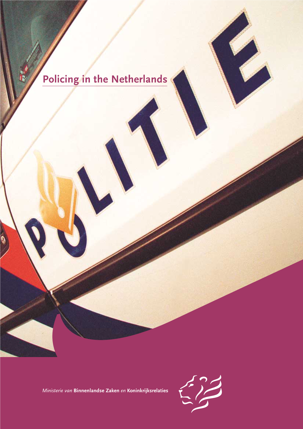 Policing in the Netherlands