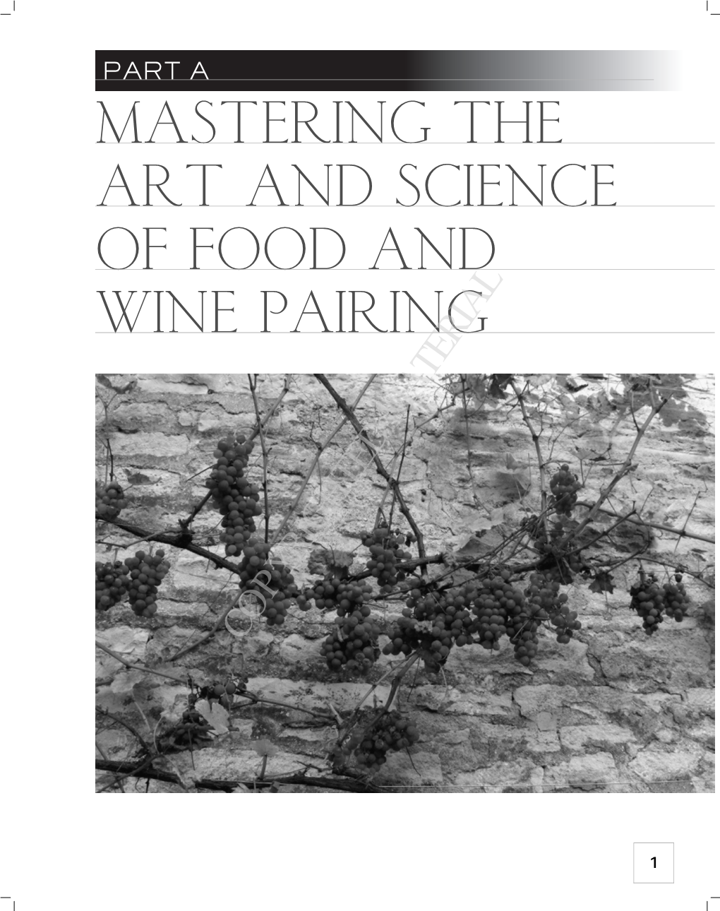 Mastering the Art and Science of Food and Wine Pairing