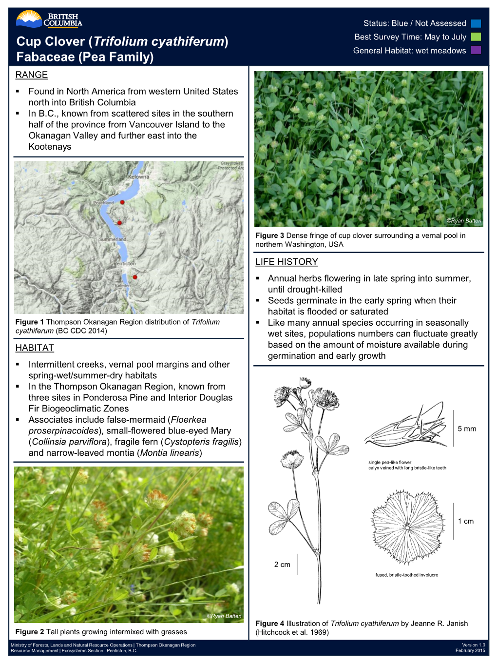 Trifolium Cyathiferum) Best Survey Time: May to July Fabaceae (Pea Family) General Habitat: Wet Meadows RANGE