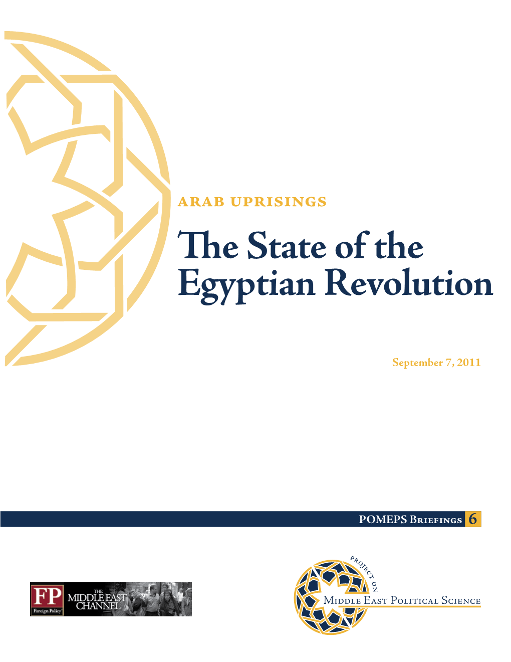 The State of the Egyptian Revolution