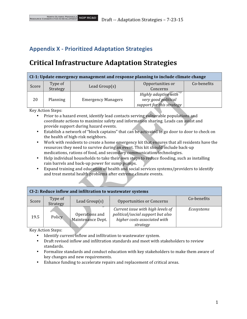 Critical Infrastructure Adaptation Strategies