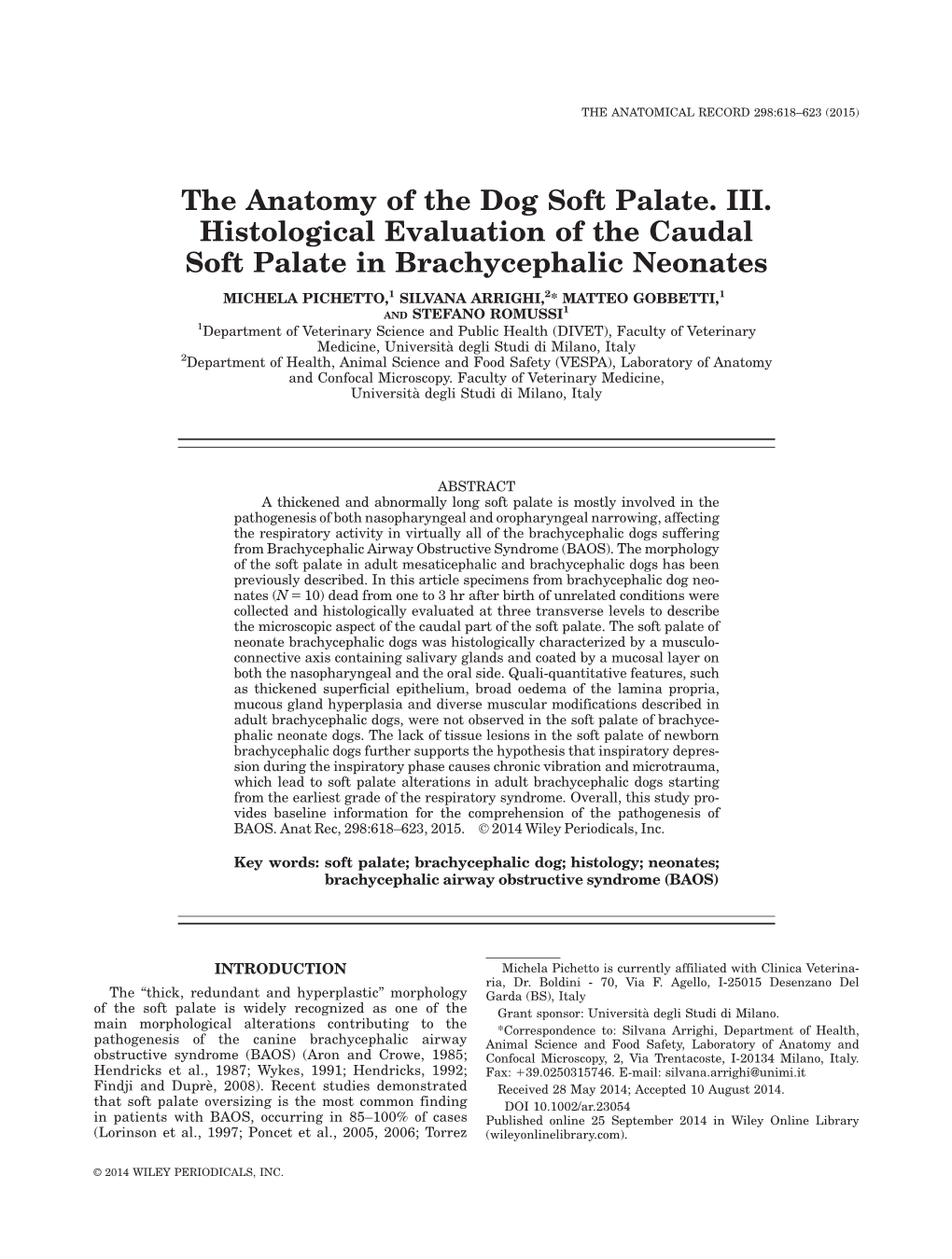 The Anatomy of the Dog Soft Palate. III. Histological Evaluation of the Caudal Soft Palate in Brachycephalic Neonates
