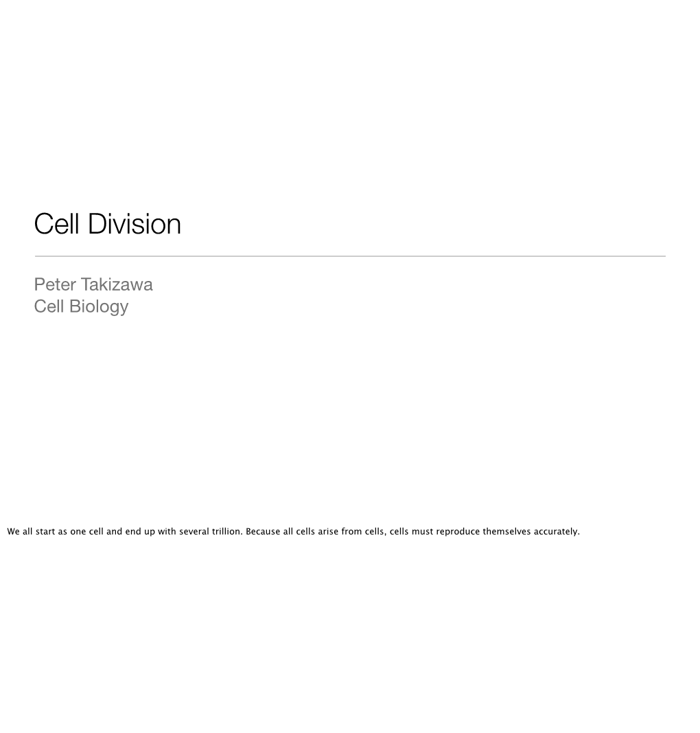 Cell Division