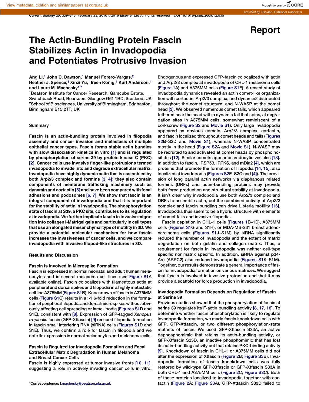 The Actin-Bundling Protein Fascin Stabilizes Actin in Invadopodia and Potentiates Protrusive Invasion