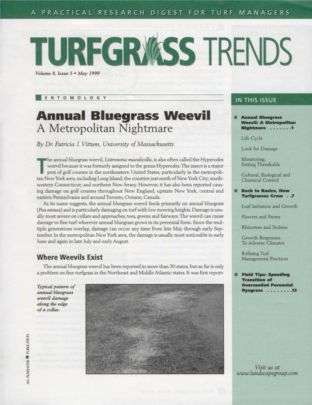 Annual Bluegrass Weevil Weevil: a Metropolitan a Metropolitan Nightmare Nightmare 1 Life Cycle by Dr