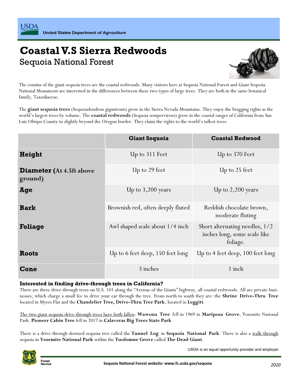 Coastal VS Sierra Redwoods