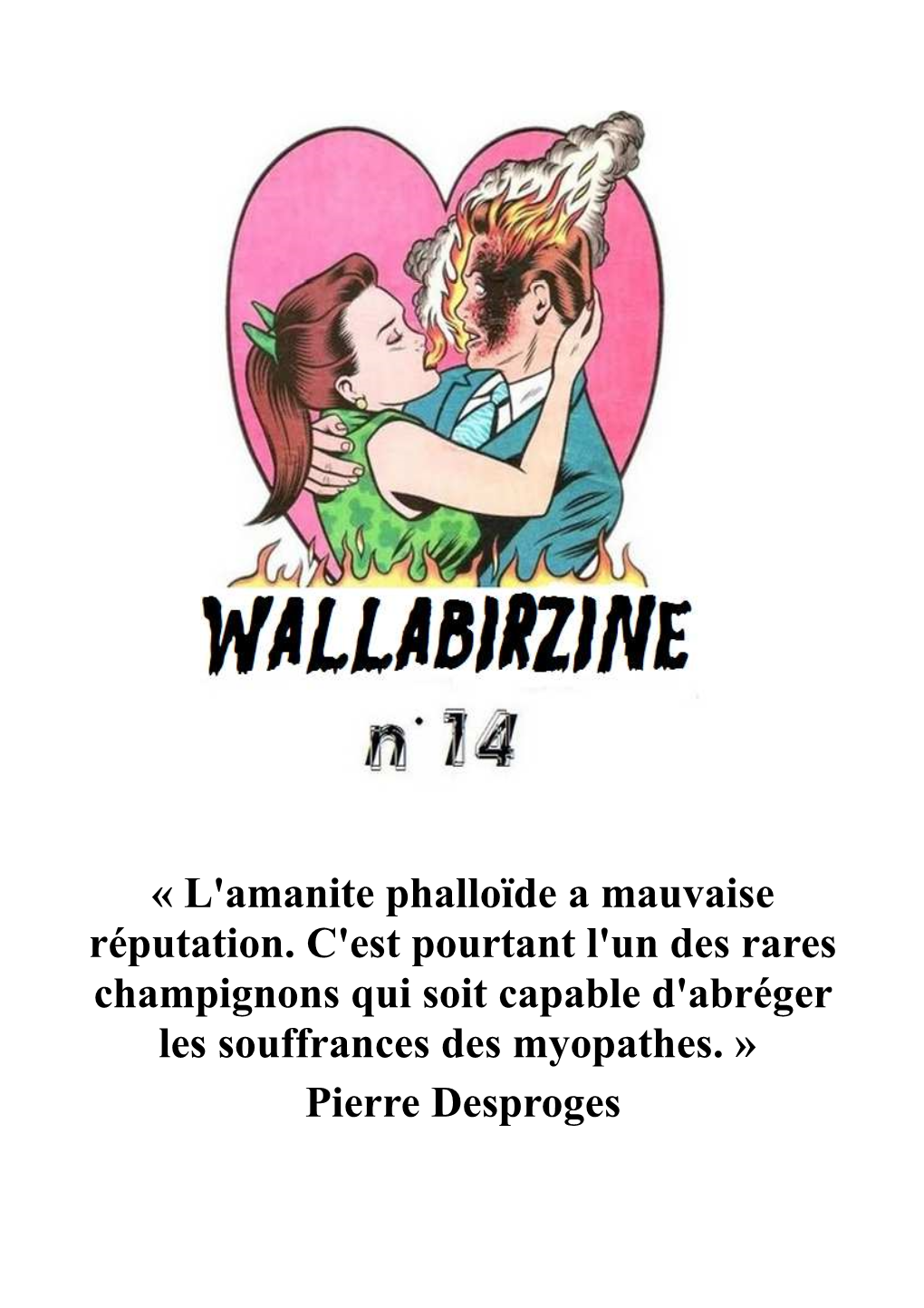 Wallabirzine N°14