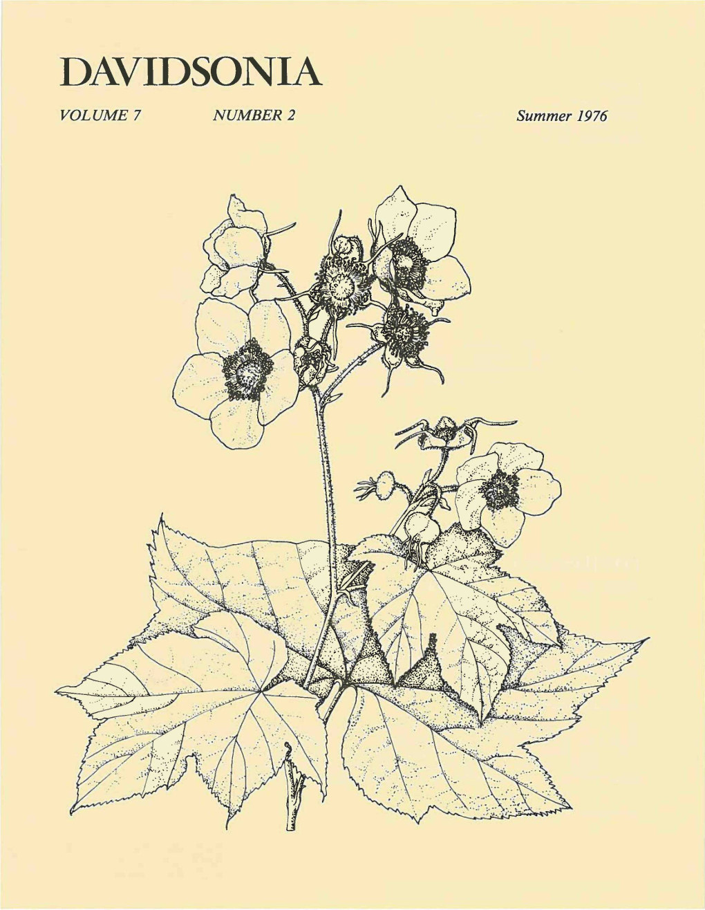 DAVIDSONIA VOLUME 7 NUMBER 2 Summer 1976 Cover: Rubus Parviflorus, the Thimbleberry, Is a Common Shrub in Pacific Coastal Forests