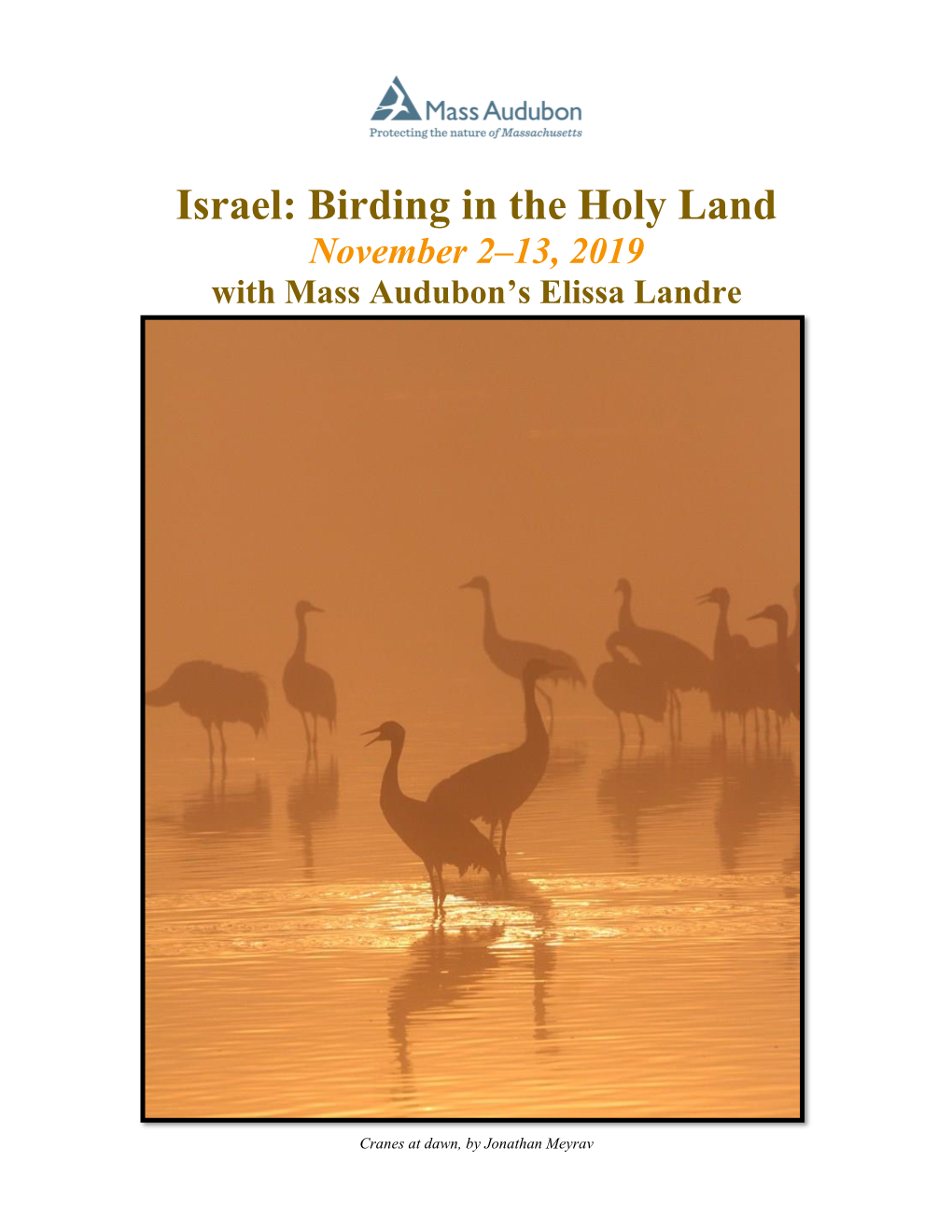 Israel: Birding in the Holy Land November 2–13, 2019 with Mass Audubon’S Elissa Landre