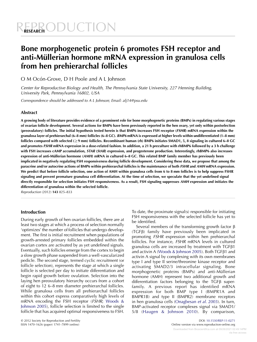 Studies of Granulosa Cell Maturation in Dominant and Subordinate Bovine