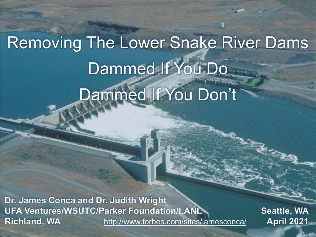 Removing the Lower Snake River Dams Dammed If You Do Dammed If You Don’T