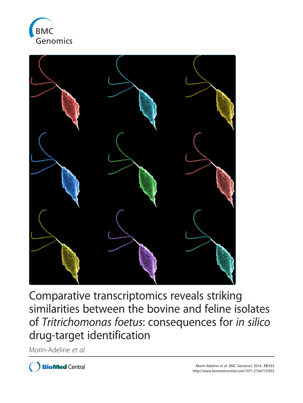 Consequences for in Silico Drug-Target Identification Morin-Adeline Et Al