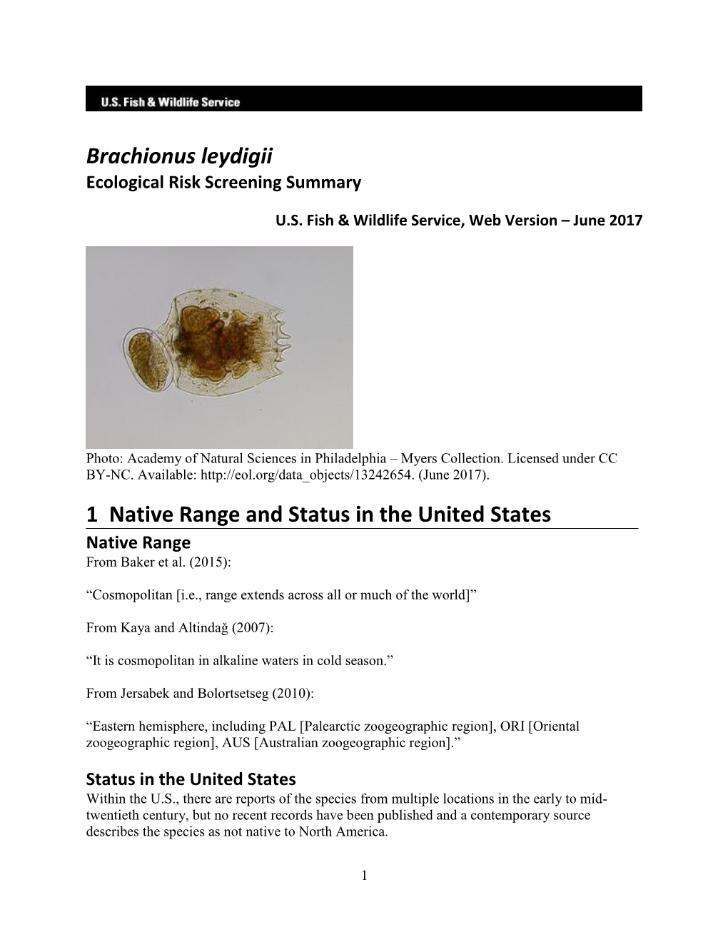 Brachionus Leydigii Ecological Risk Screening Summary