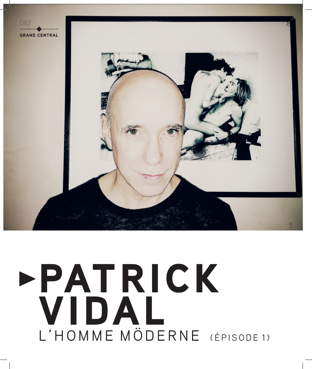 Patrick Vidal 8531.71 Ko |
