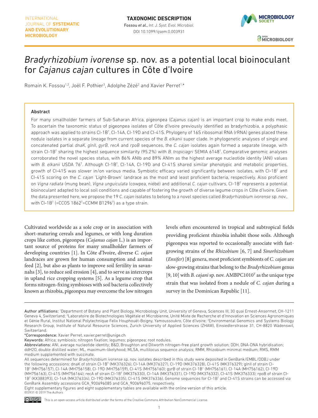 Bradyrhizobium Ivorense Sp. Nov. As a Potential Local Bioinoculant for Cajanus Cajan Cultures in Côte D’Ivoire