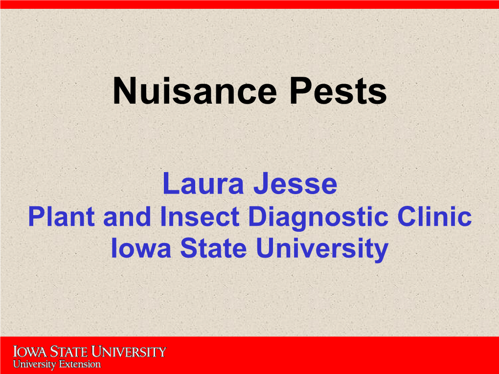 Nuisance Pests