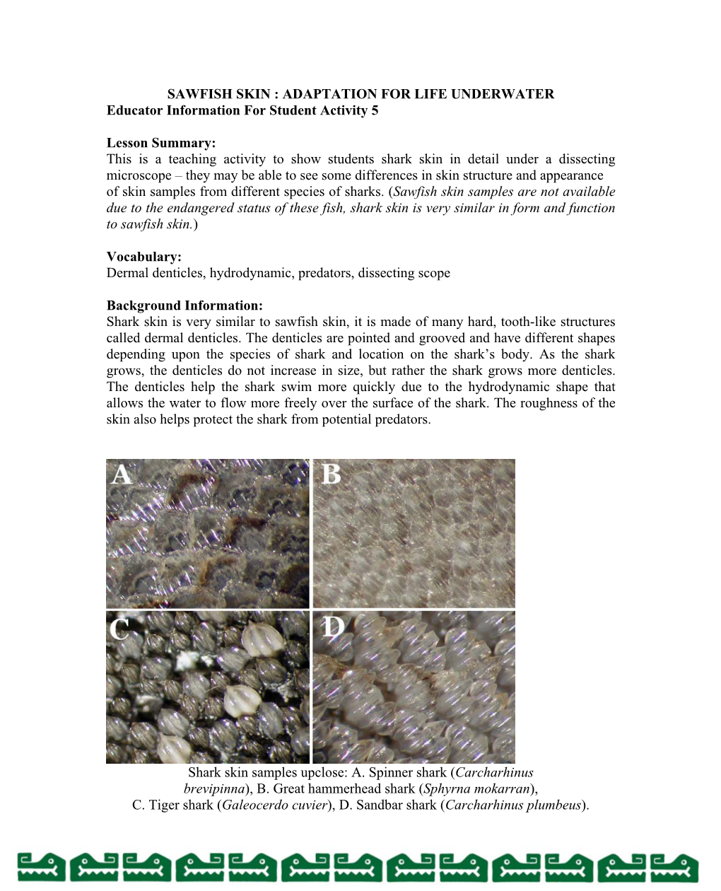 SAWFISH SKIN : ADAPTATION for LIFE UNDERWATER Educator Information for Student Activity 5