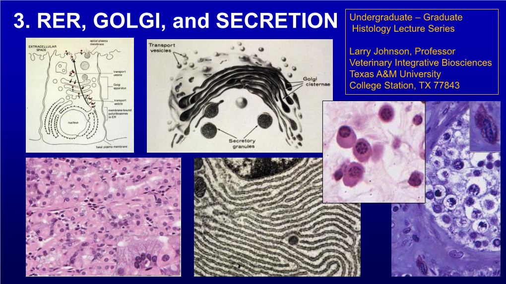 RER, GOLGI, and SECRETION Histology Lecture Series