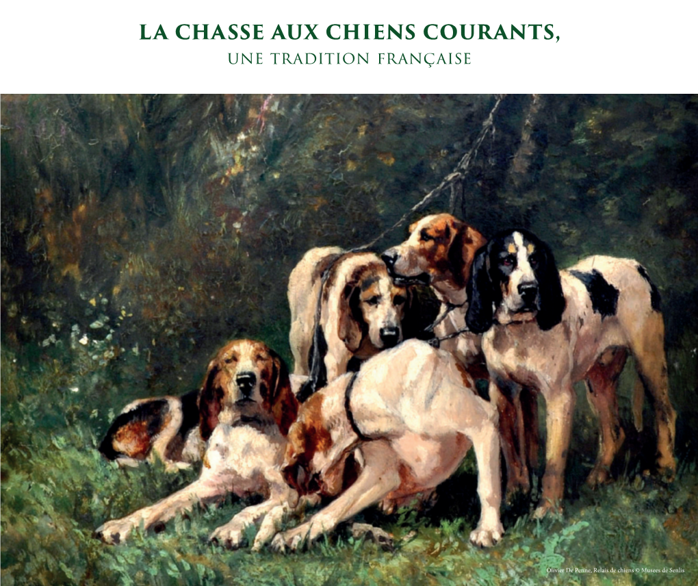 LA CHASSE AUX CHIENS COURANTS, Une Tradition Française