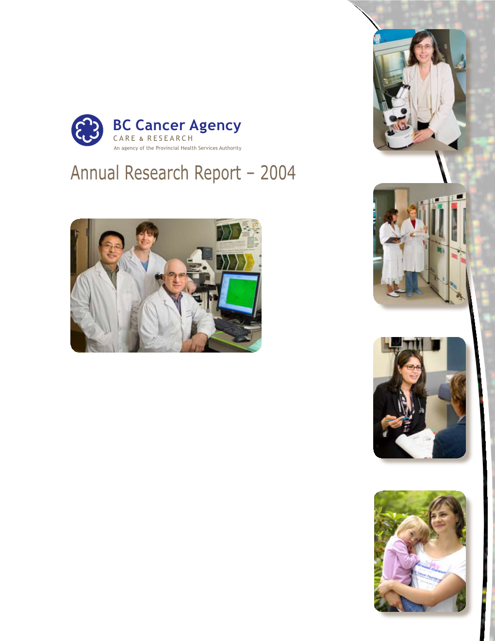 Annual Research Report – 2004