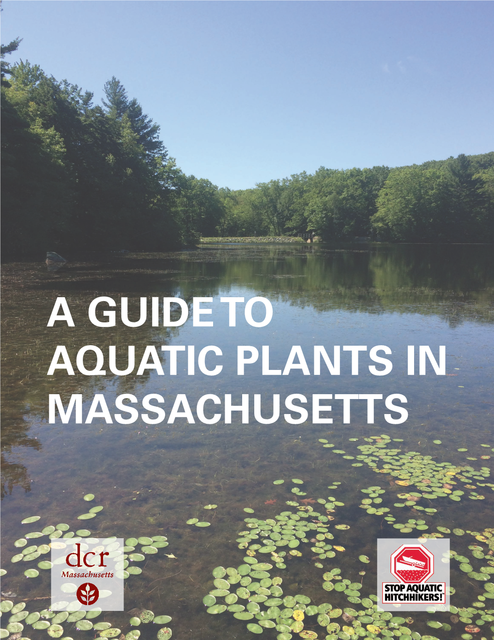 A GUIDE to AQUATIC PLANTS in MASSACHUSETTS Contacts