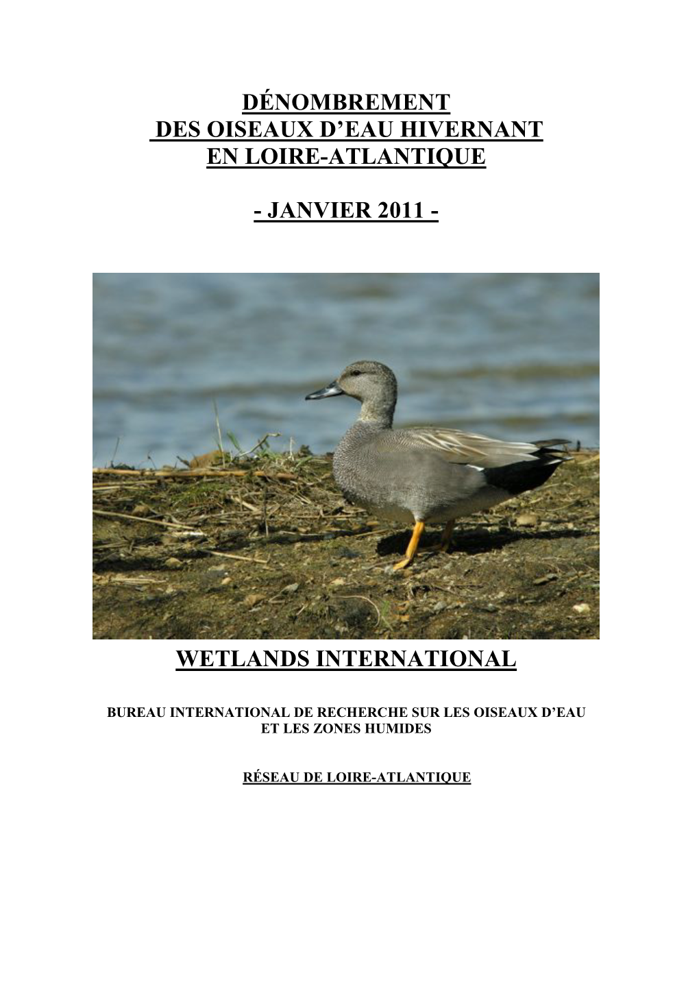 Dénombrement Des Oiseaux D'eau Hivernant En Loire-Atlantique