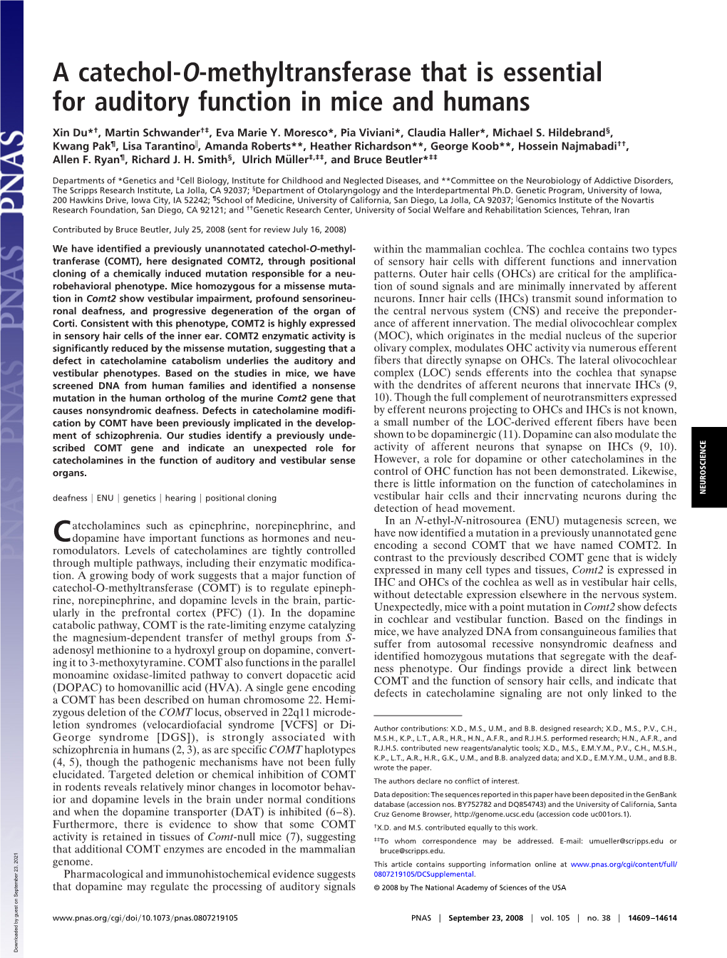 A Catechol-O-Methyltransferase That Is Essential for Auditory Function in Mice and Humans