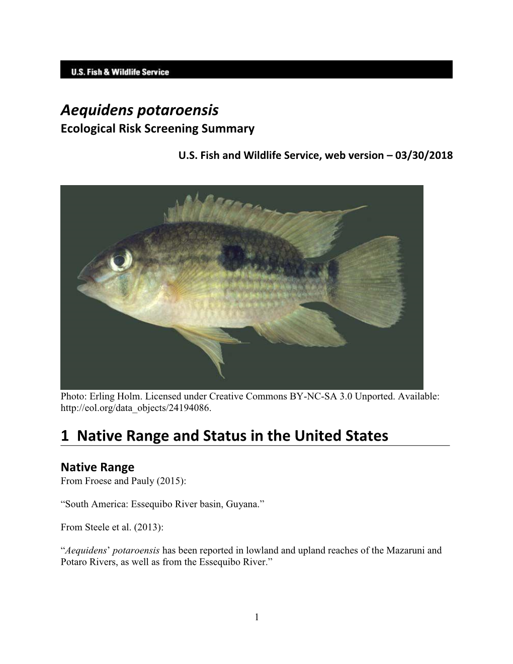 Aequidens Potaroensis Ecological Risk Screening Summary