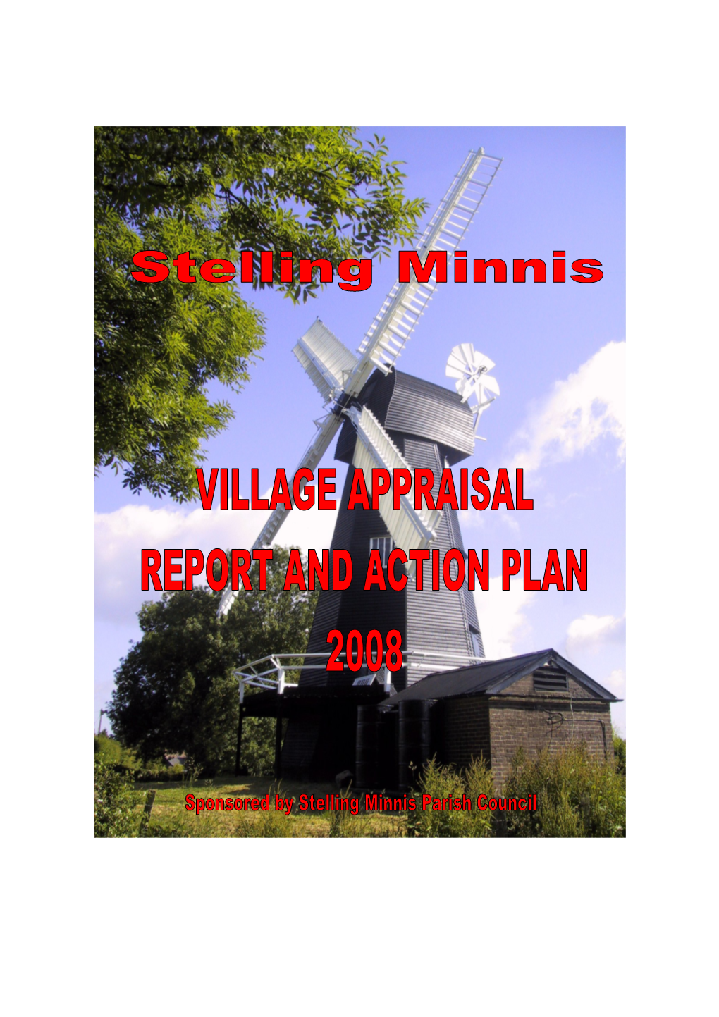 View Report and Action Plan 2008