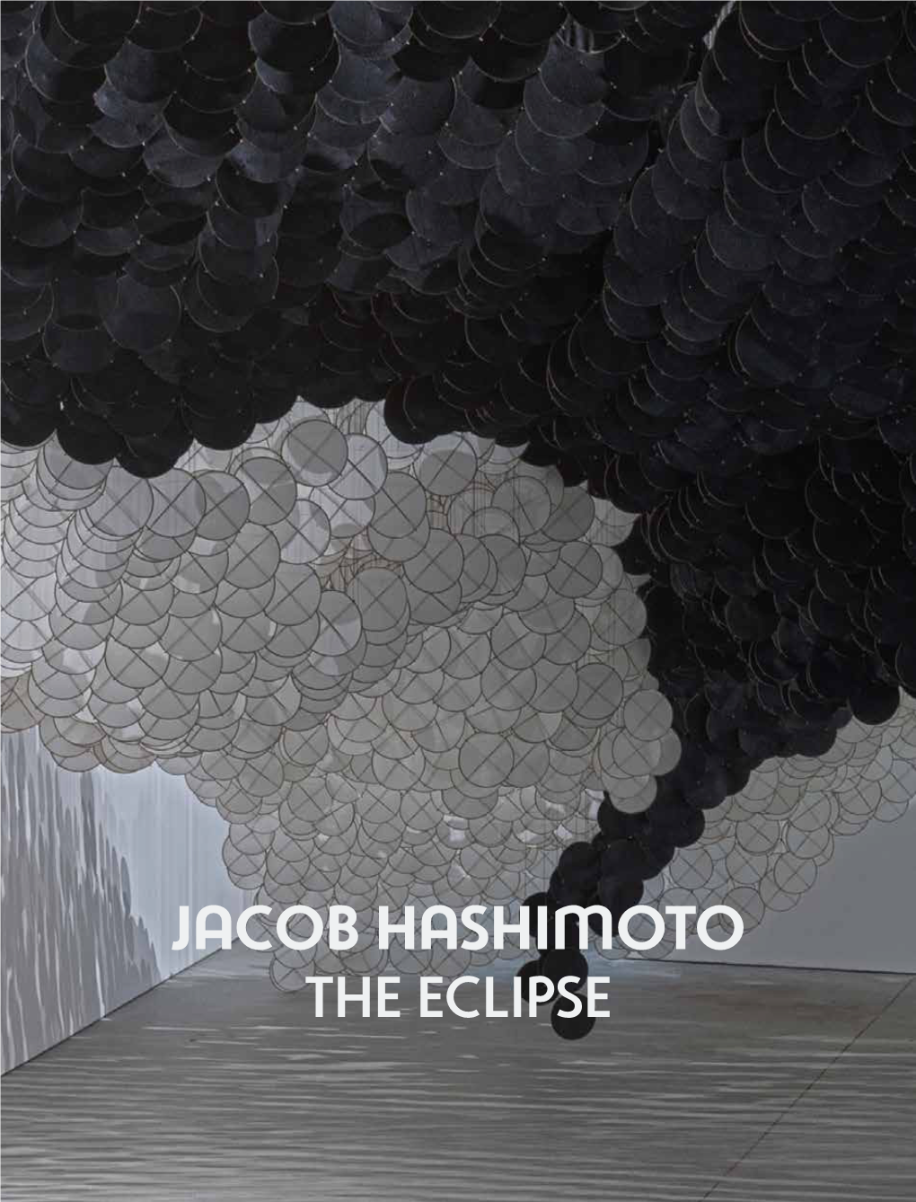 Jacob Hashimoto