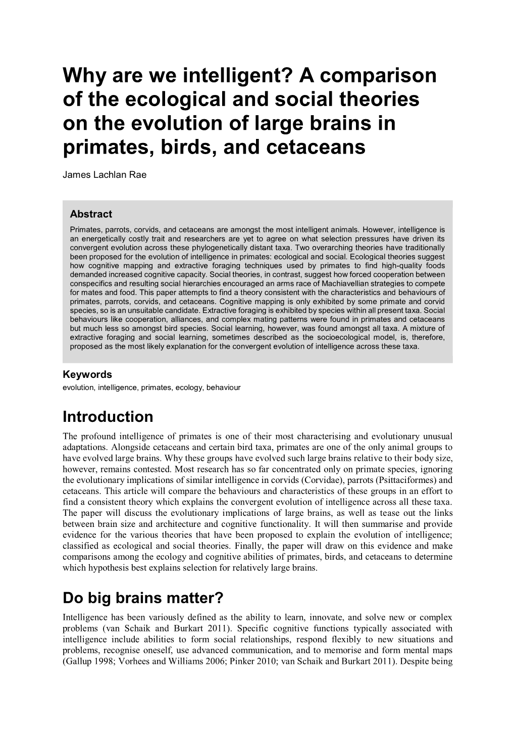 A Comparison of the Ecological and Social Theories on the Evolution of Large Brains in Primates, Birds, and Cetaceans