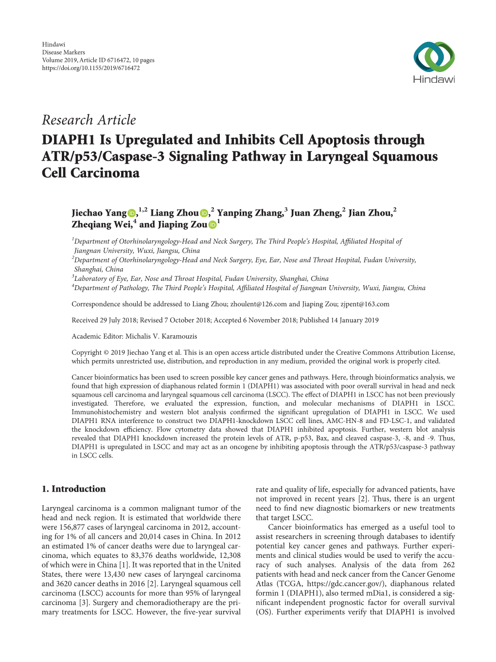 DIAPH1 Is Upregulated and Inhibits Cell Apoptosis Through ATR/P53/Caspase-3 Signaling Pathway in Laryngeal Squamous Cell Carcinoma